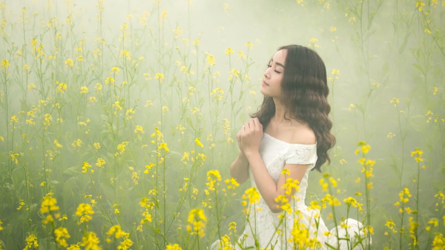 XCSEOSEO小白如何优化排名