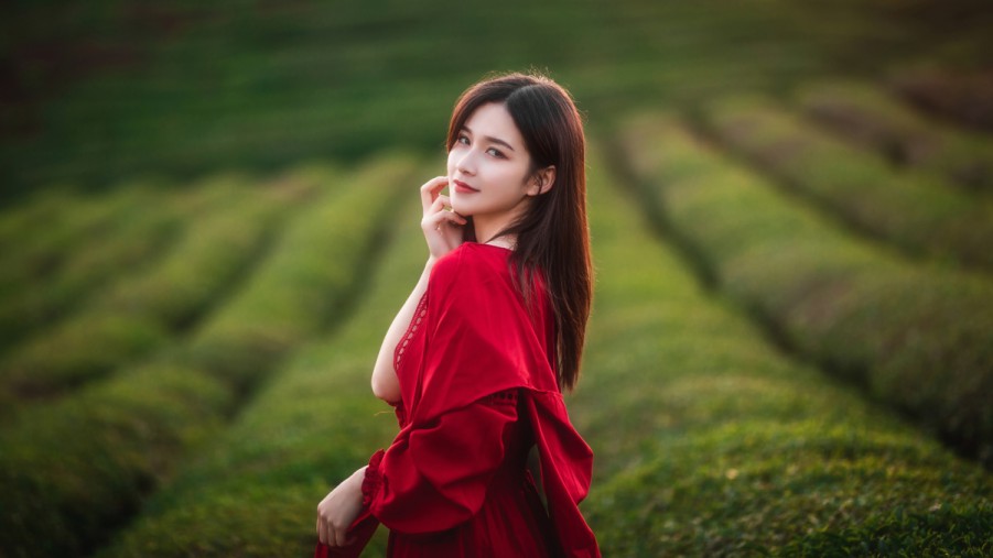 XCSEOpc与SEO排名同步提升网站排名的智能解决方案